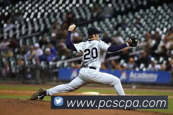 pa视讯平台生态图